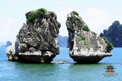 Halong14