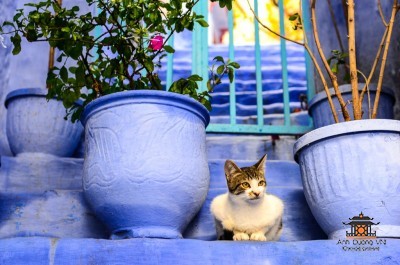 Chefchaouen-Morocco-6